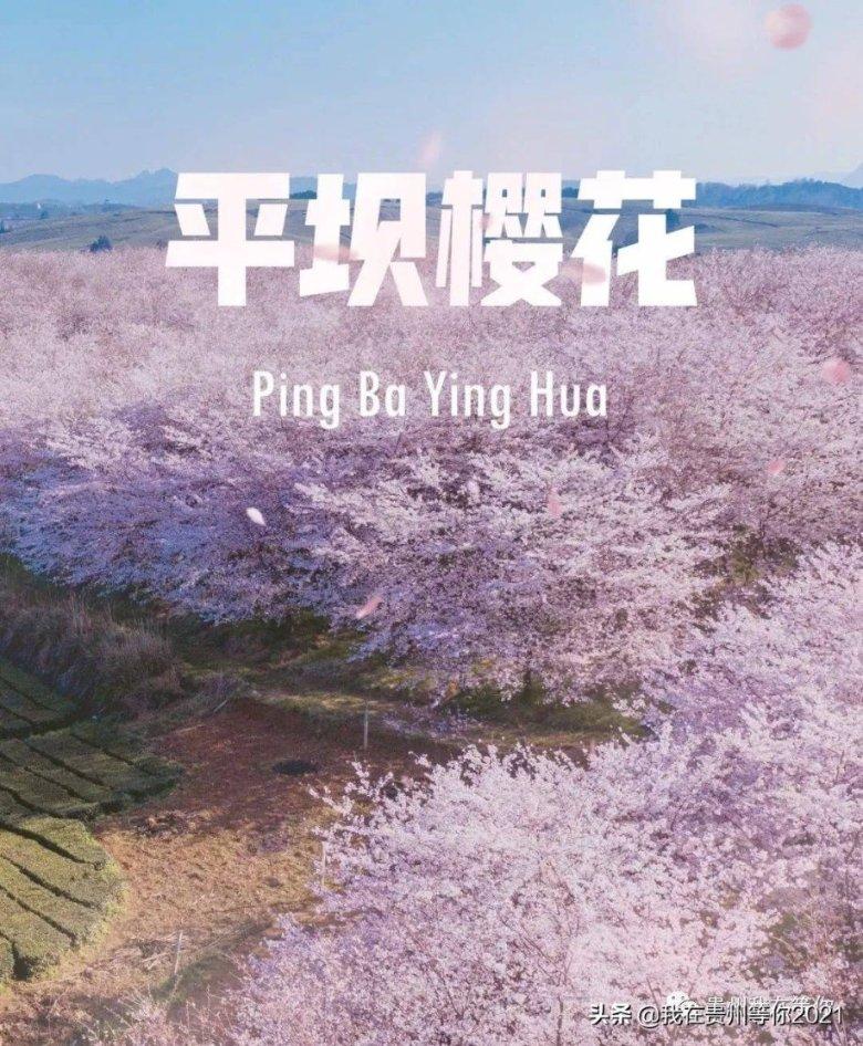 龙港市有哪些正规补课学校-打破常规的红迪网社区